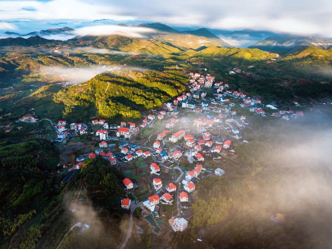 打造乡村振兴样板，描绘“厦门实践”同安画卷