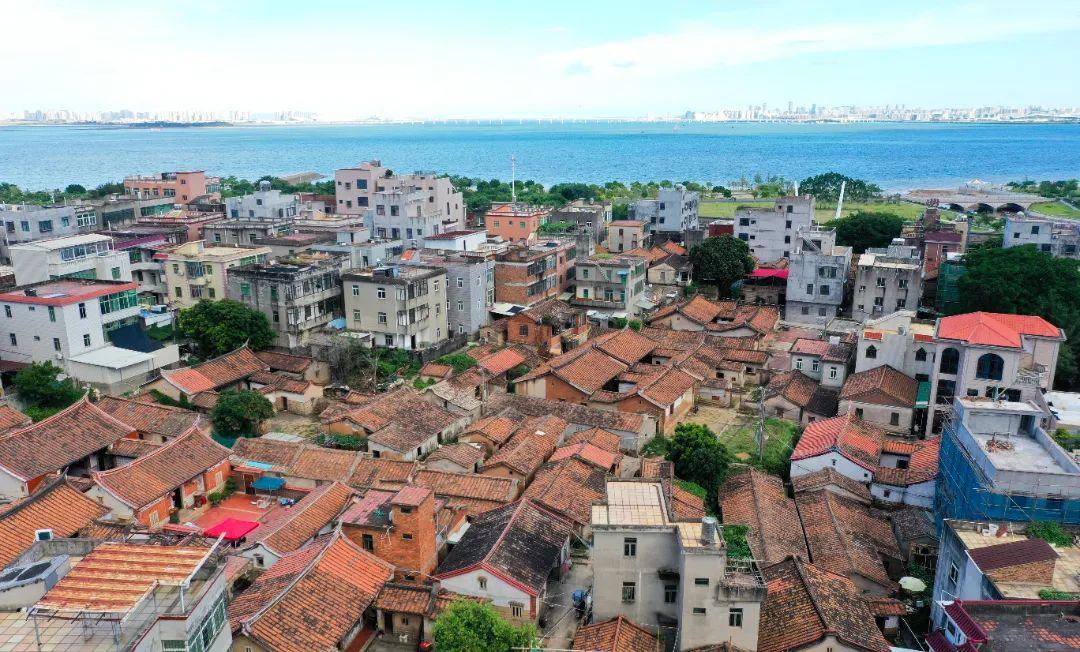 打造乡村振兴样板，描绘“厦门实践”同安画卷