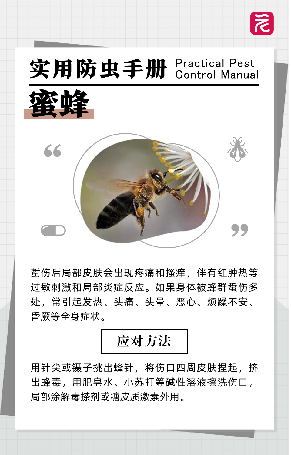 沙发上睡一觉被虫咬，差点截趾！严重或危及生命，千万当心！