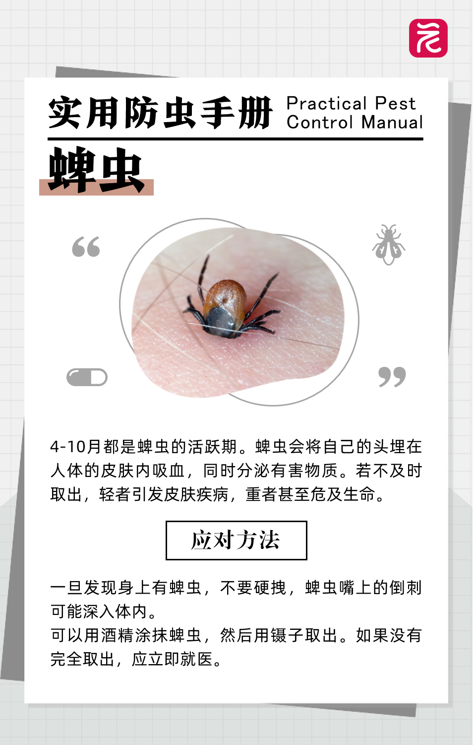 沙发上睡一觉被虫咬，差点截趾！严重或危及生命，千万当心！