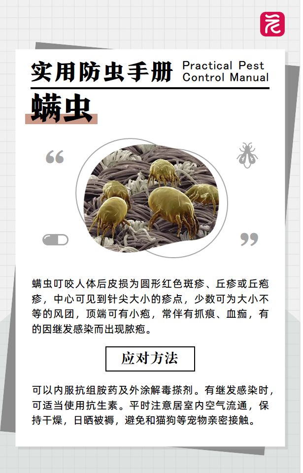 沙发上睡一觉被虫咬，差点截趾！严重或危及生命，千万当心！