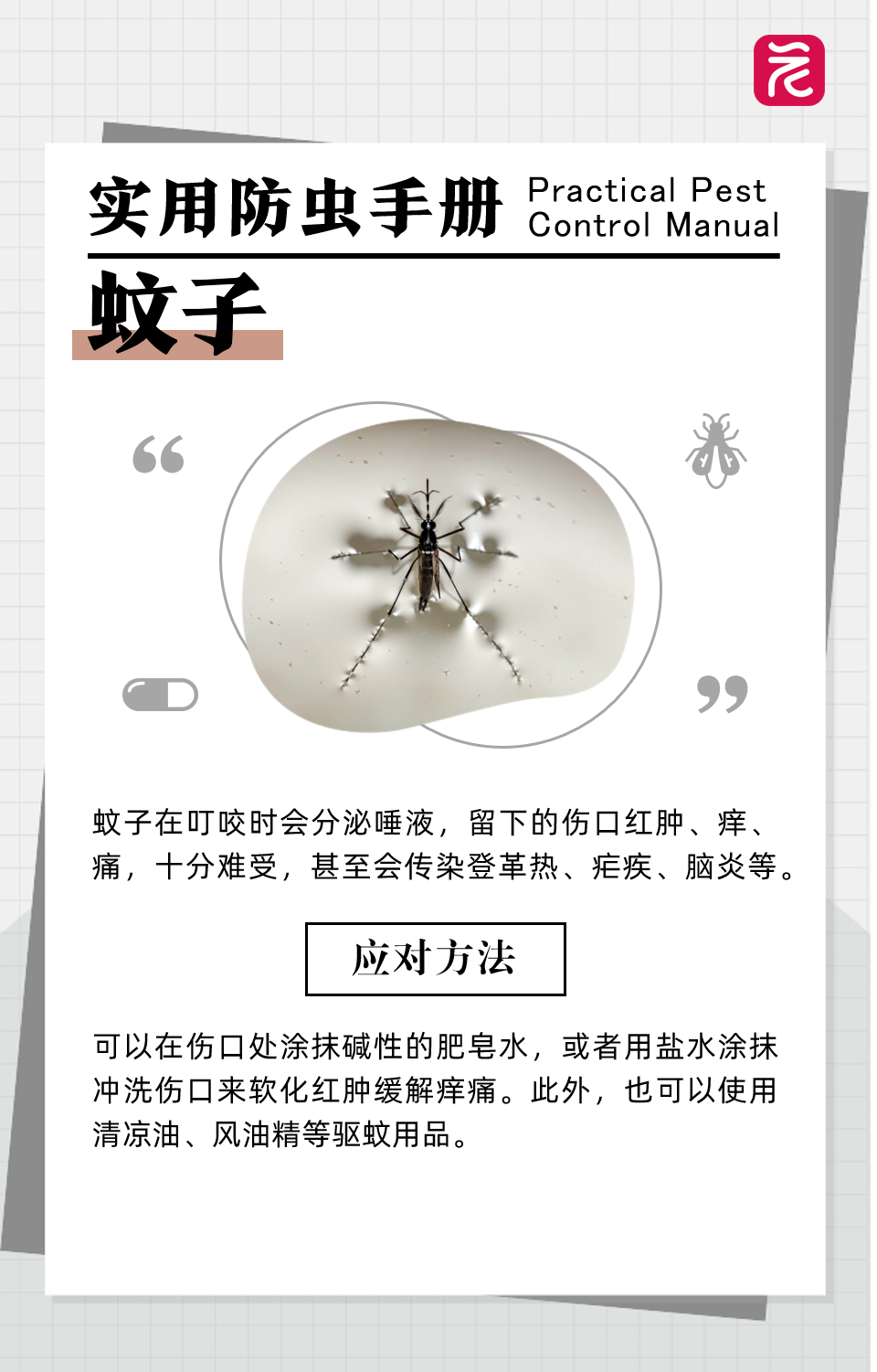 沙发上睡一觉被虫咬，差点截趾！严重或危及生命，千万当心！