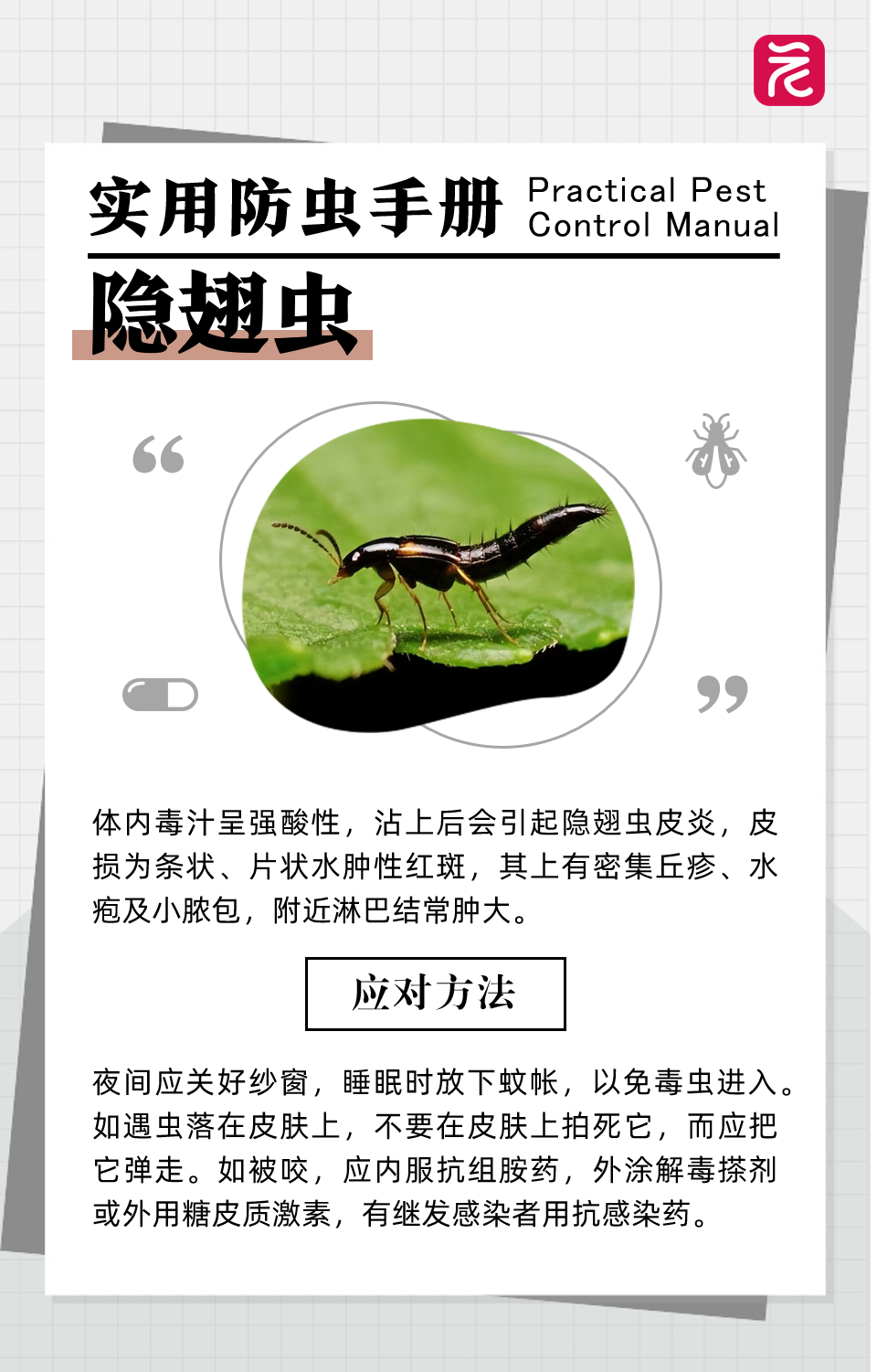 沙发上睡一觉被虫咬，差点截趾！严重或危及生命，千万当心！