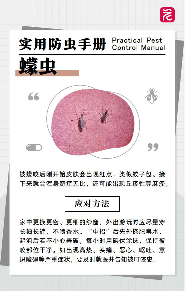 沙发上睡一觉被虫咬，差点截趾！严重或危及生命，千万当心！