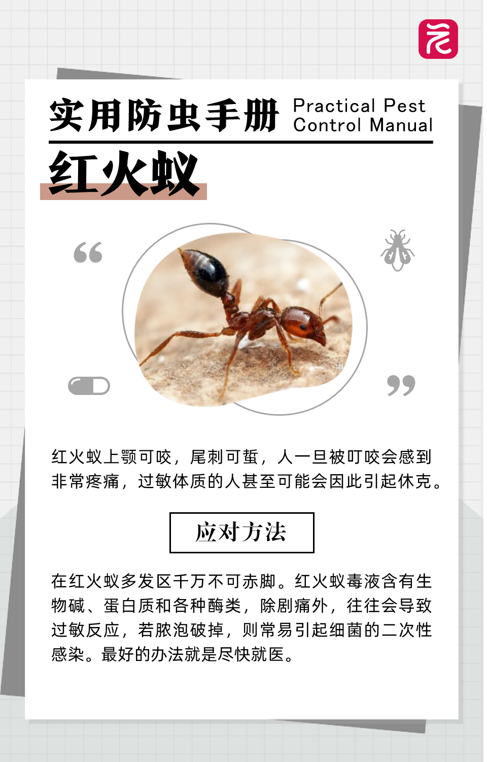 沙发上睡一觉被虫咬，差点截趾！严重或危及生命，千万当心！