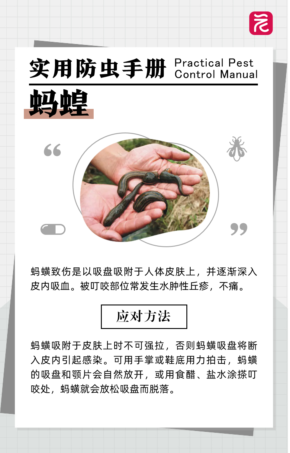 沙发上睡一觉被虫咬，差点截趾！严重或危及生命，千万当心！