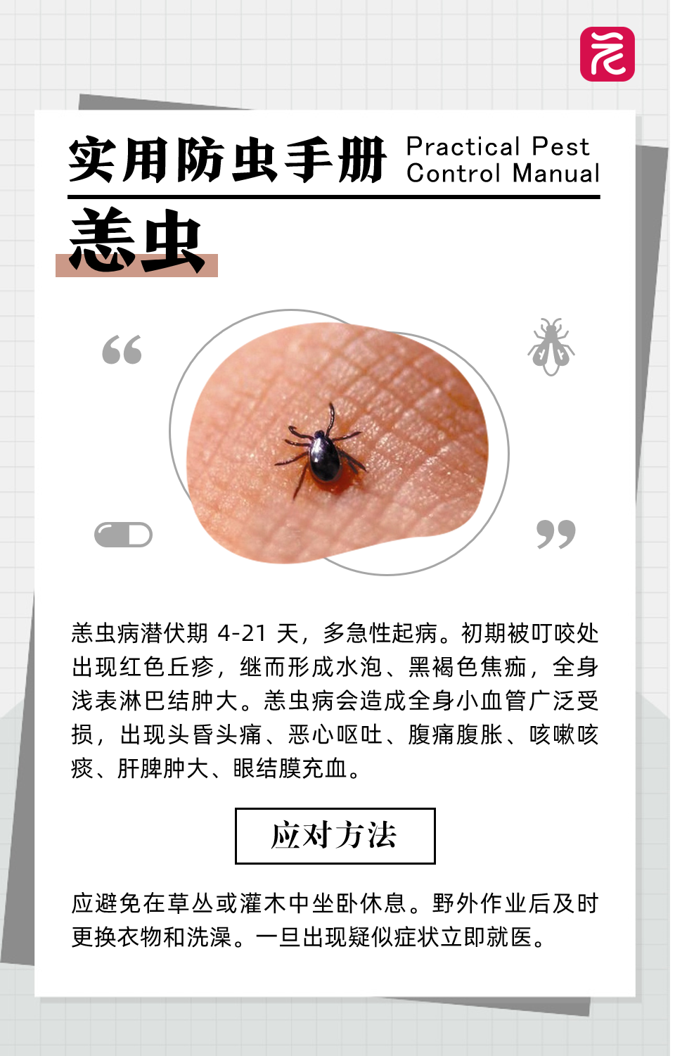 沙发上睡一觉被虫咬，差点截趾！严重或危及生命，千万当心！