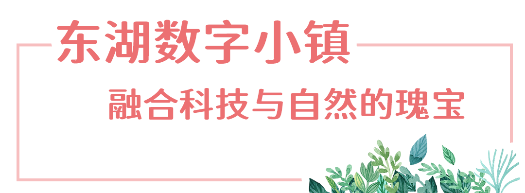 龙舟赛+____？端午长乐玩法多