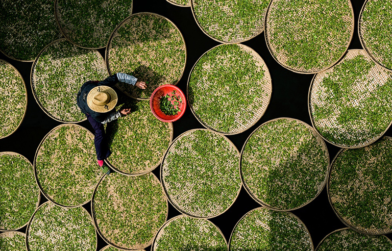 干一杯，夏天！
