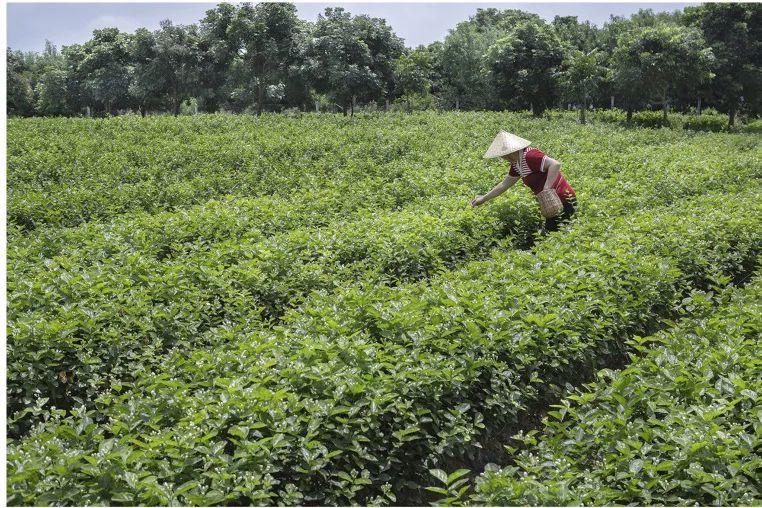 干一杯，夏天！