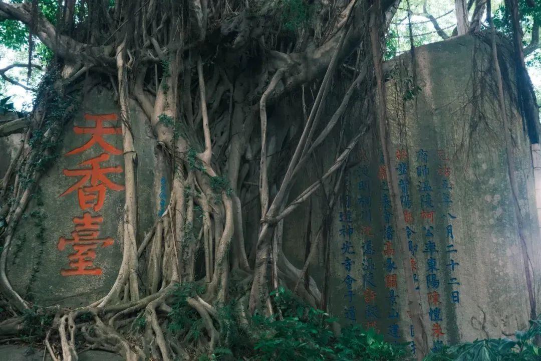 干一杯，夏天！