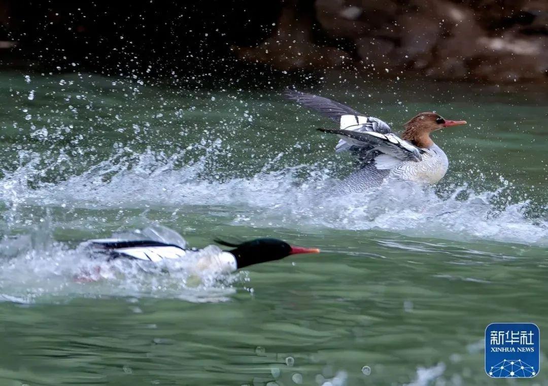 自驾吧！去永泰