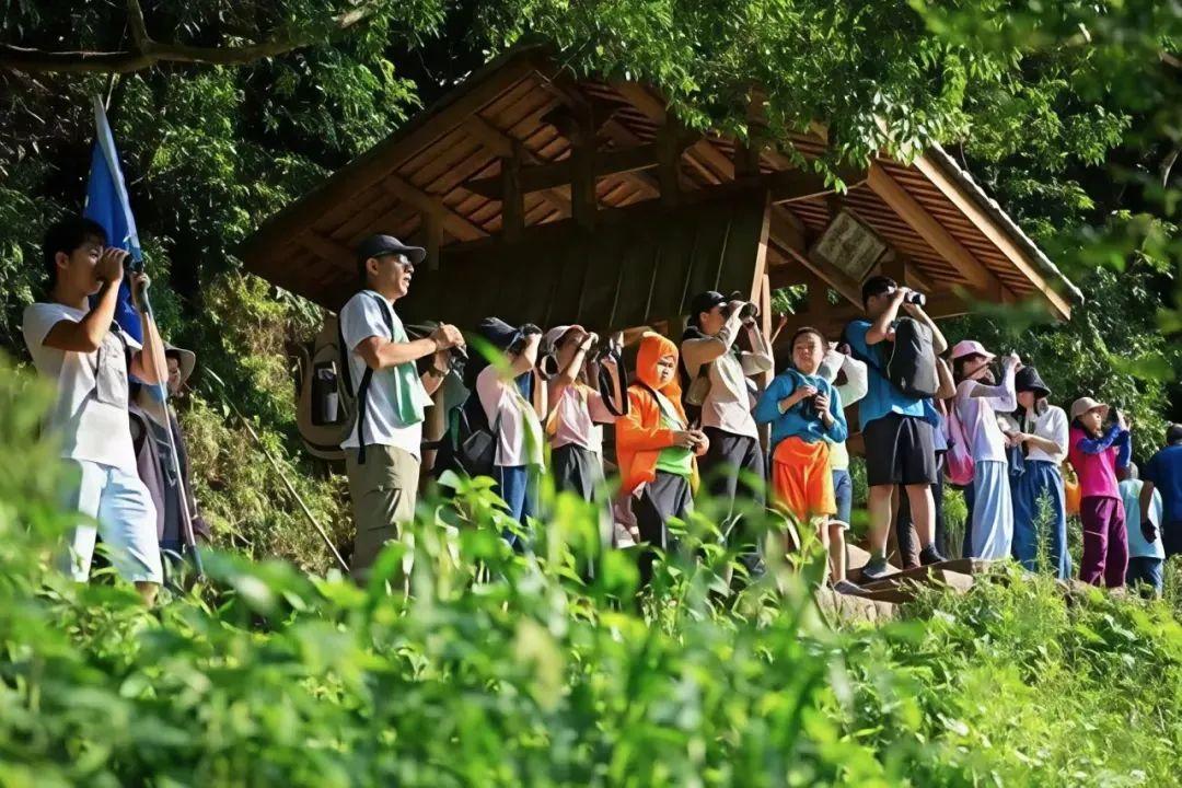 自驾吧！去永泰