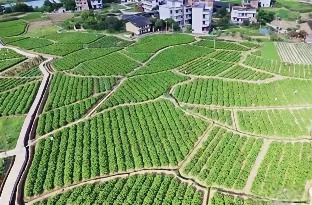 自驾吧！去永泰