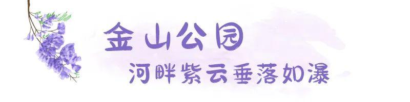 五月，查收福州的一“紫”情书