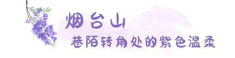 五月，查收福州的一“紫”情书