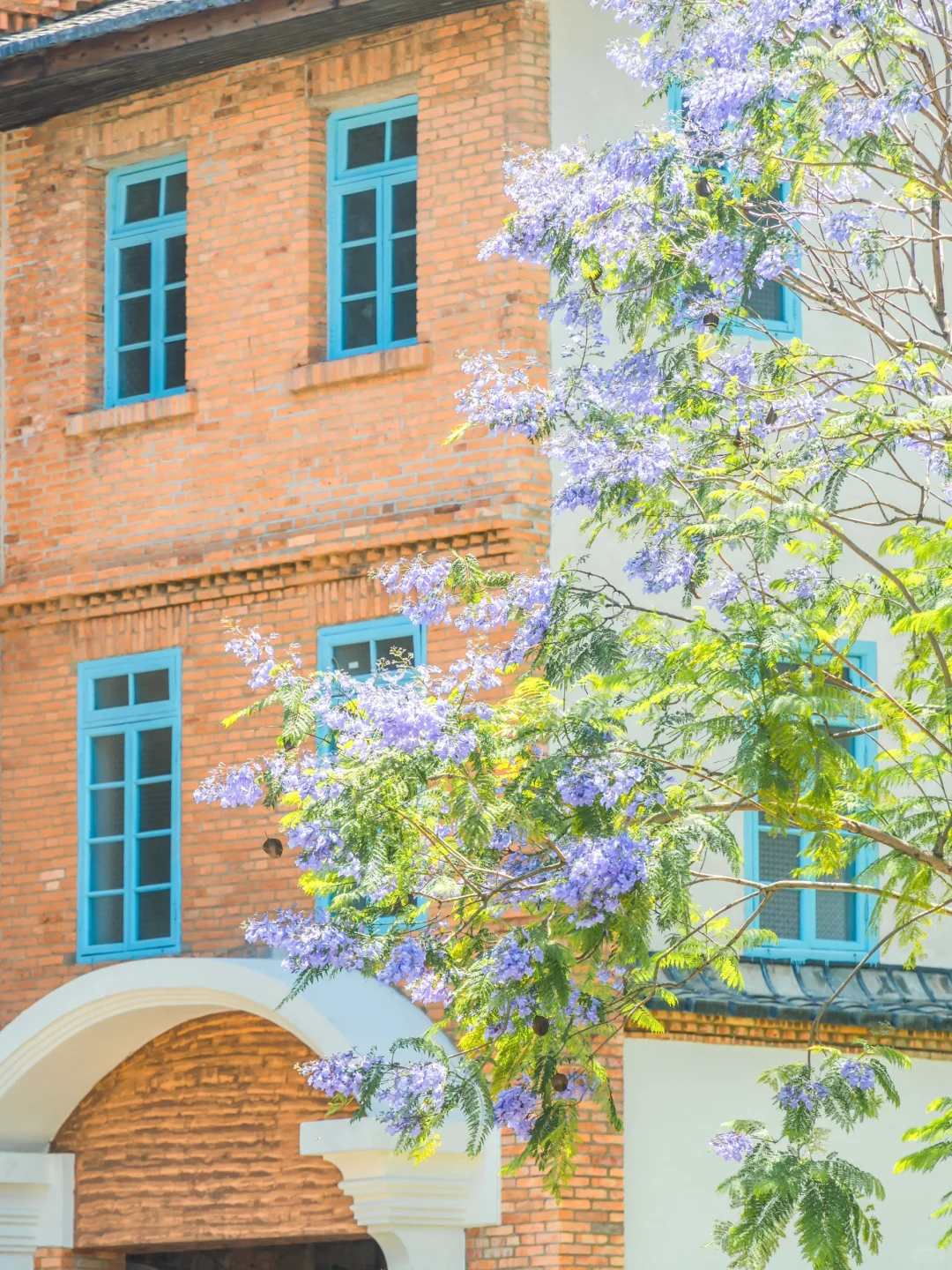 五月，查收福州的一“紫”情书