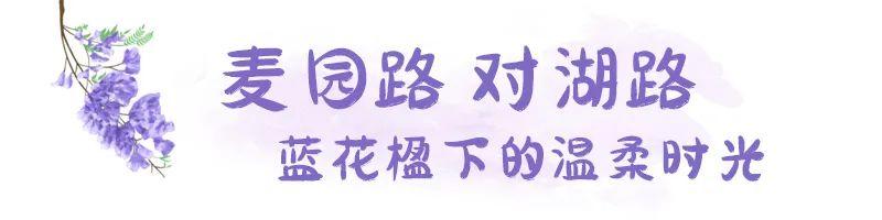 五月，查收福州的一“紫”情书