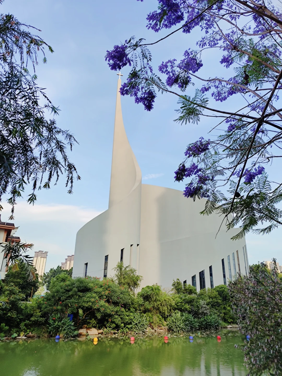 五月，查收福州的一“紫”情书