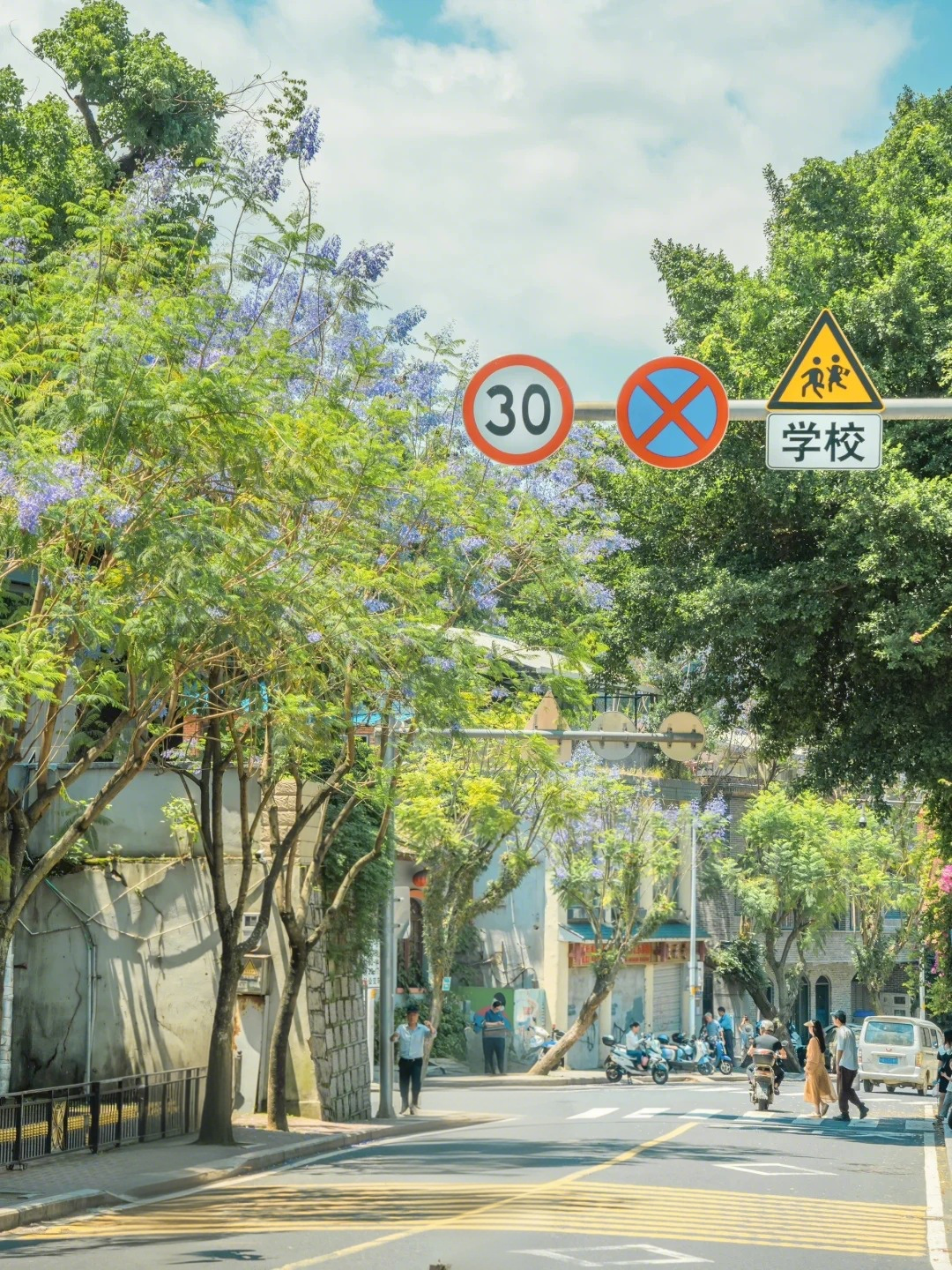 五月，查收福州的一“紫”情书