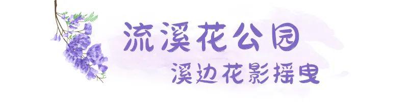 五月，查收福州的一“紫”情书