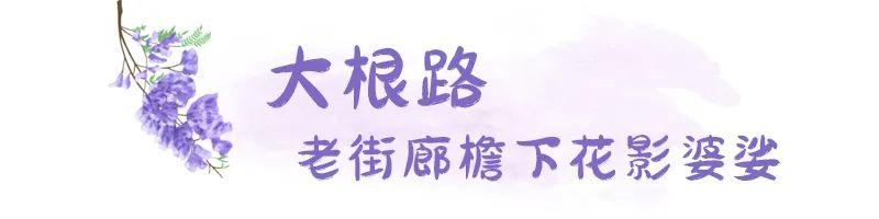 五月，查收福州的一“紫”情书