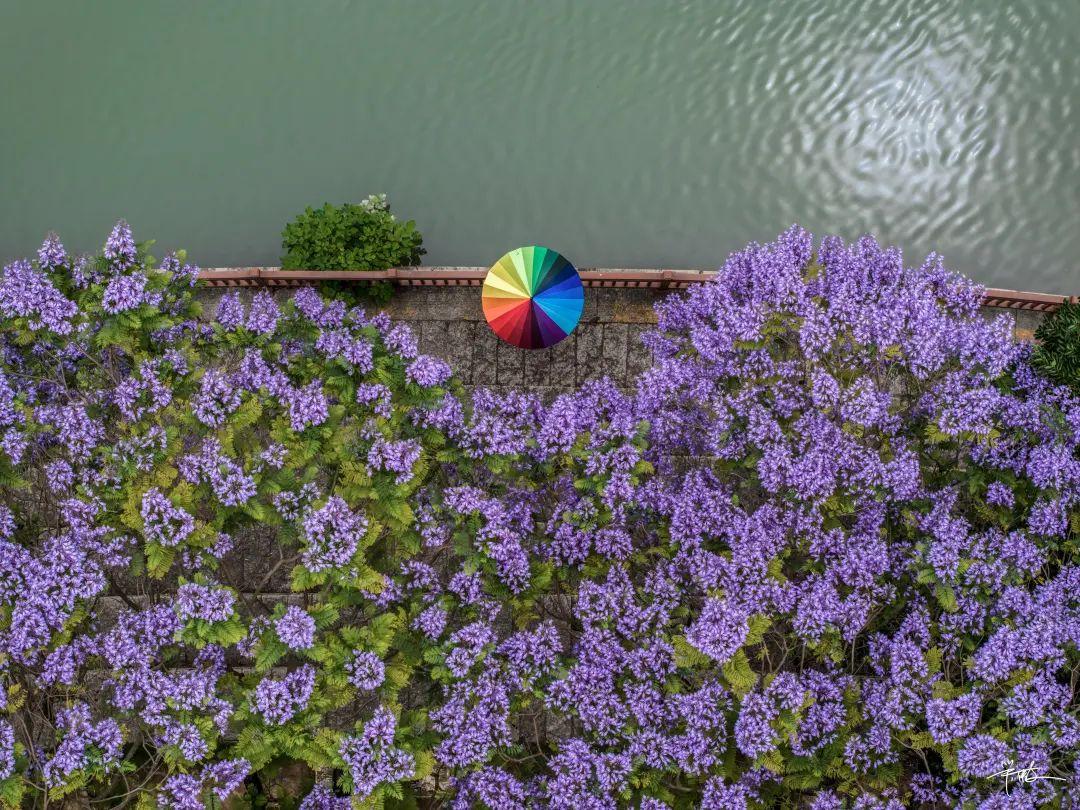 乘地铁游福州，开启“园”气满满的一天！