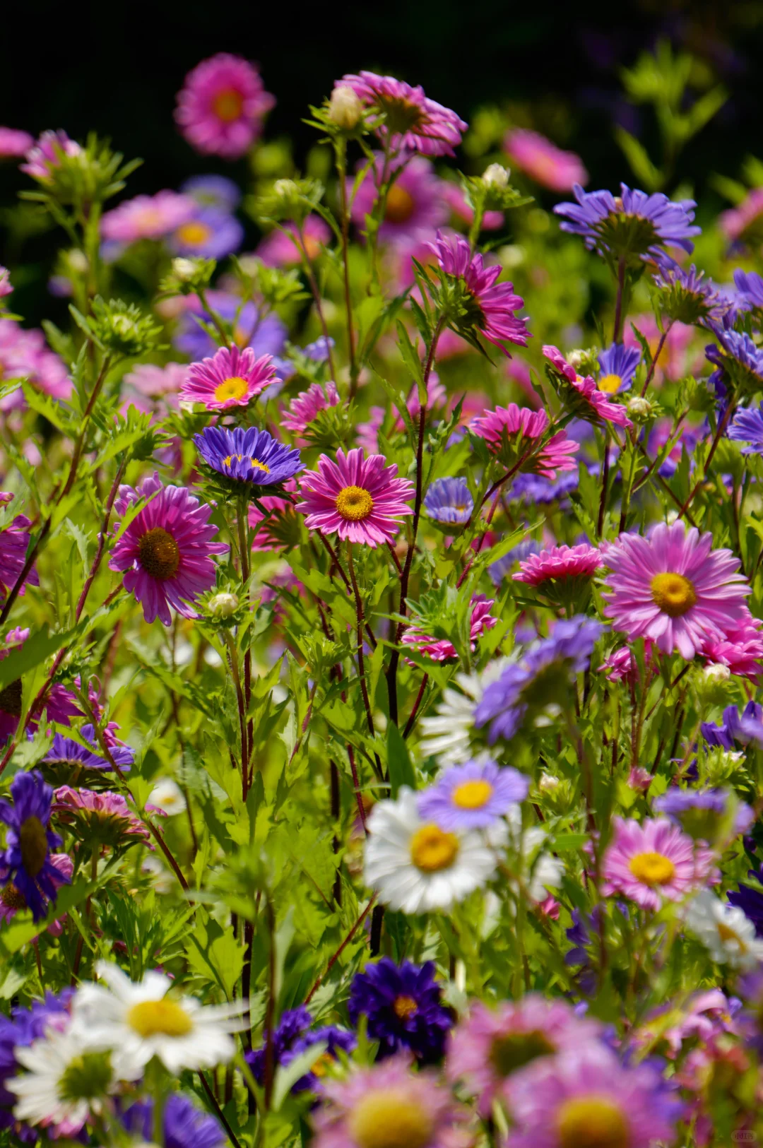 乘地铁游福州，开启“园”气满满的一天！