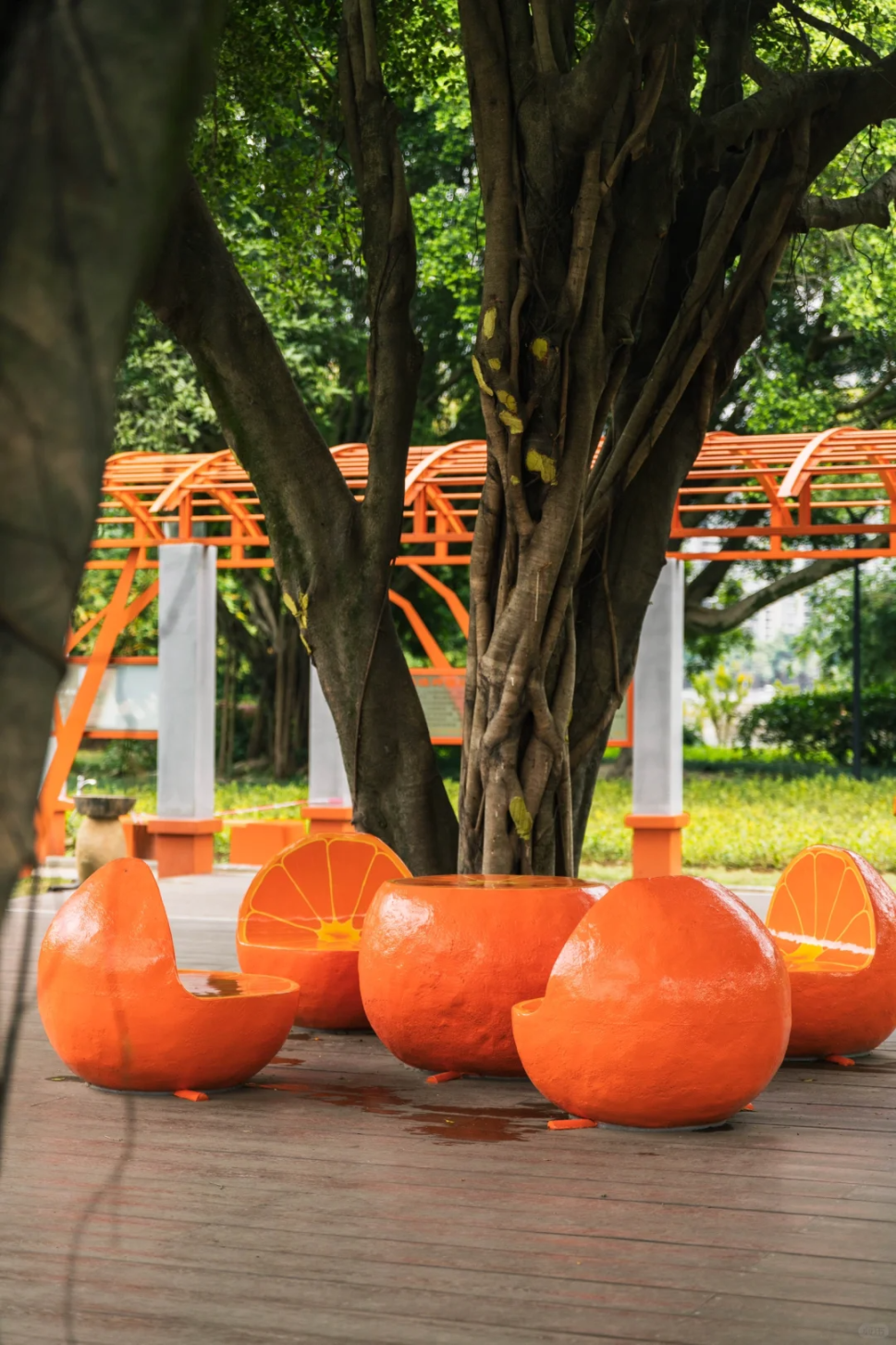 乘地铁游福州，开启“园”气满满的一天！