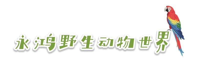 假期，到这里来happy一下