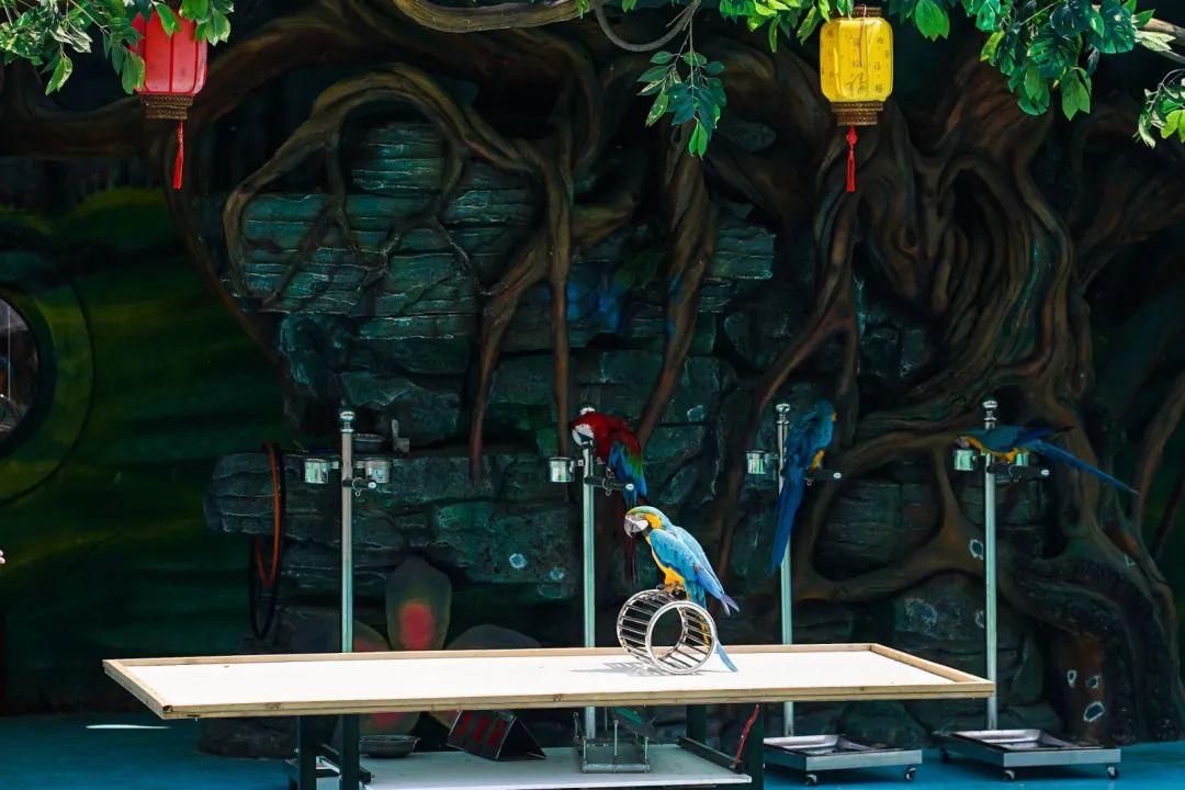 假期，到这里来happy一下