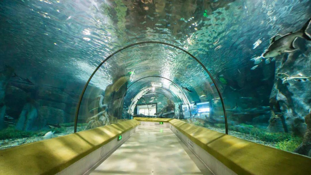 假期，到这里来happy一下