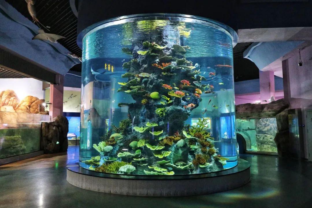 假期，到这里来happy一下