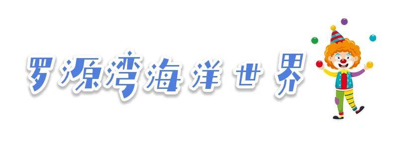 假期，到这里来happy一下