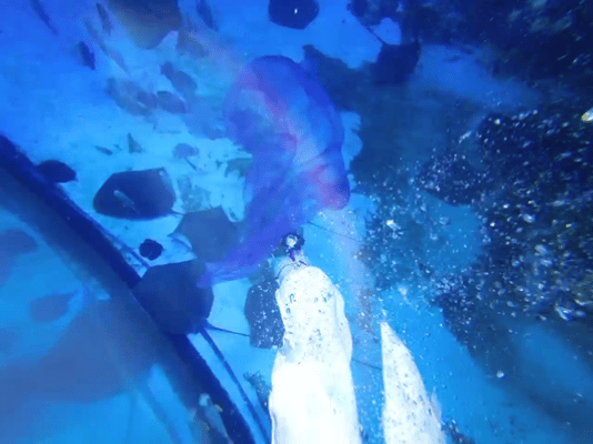 假期，到这里来happy一下