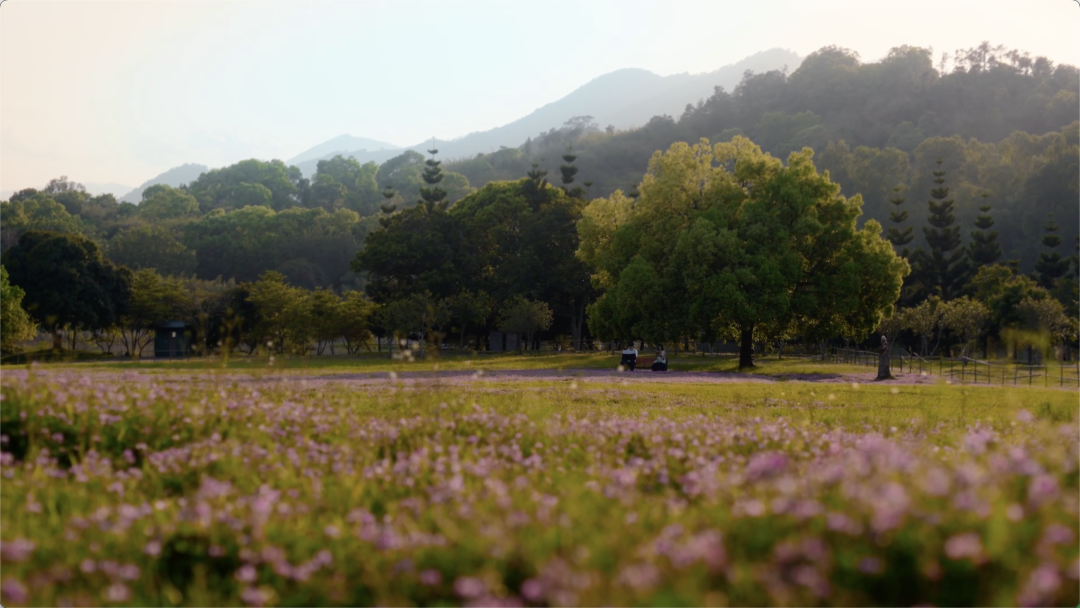 爱逢其时，福州与你