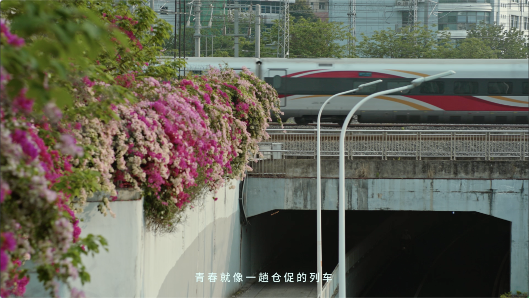 爱逢其时，福州与你