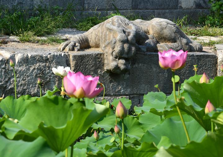 镜观·回响｜一轴一城 古脉新生