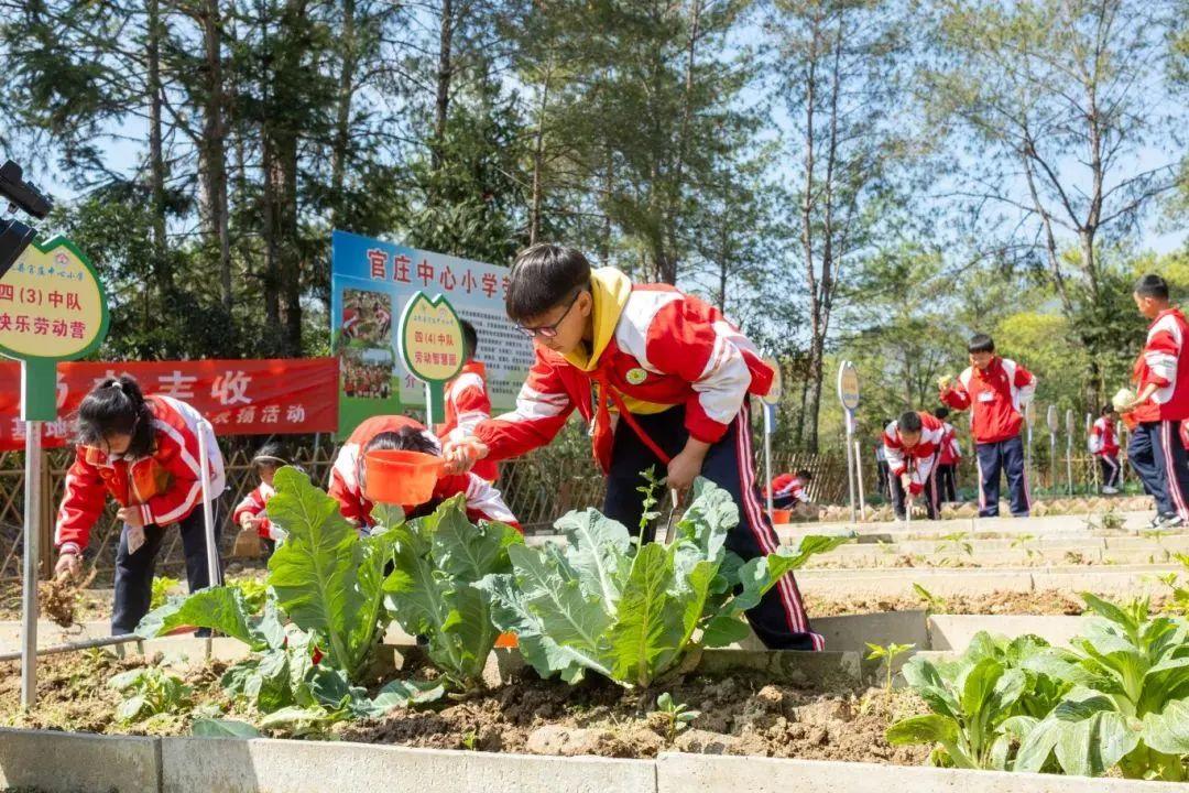 福建上杭：加快城乡融合，促进共同富裕