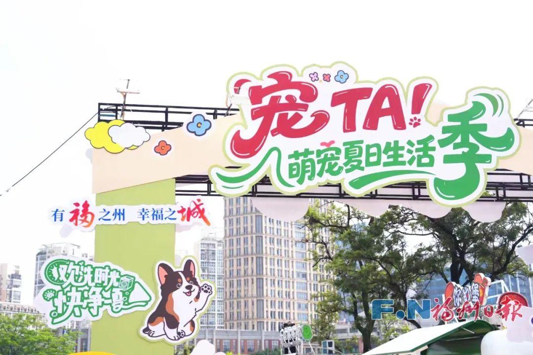 福州市第五届住房展销会盛大开幕！福州人周末快去逛