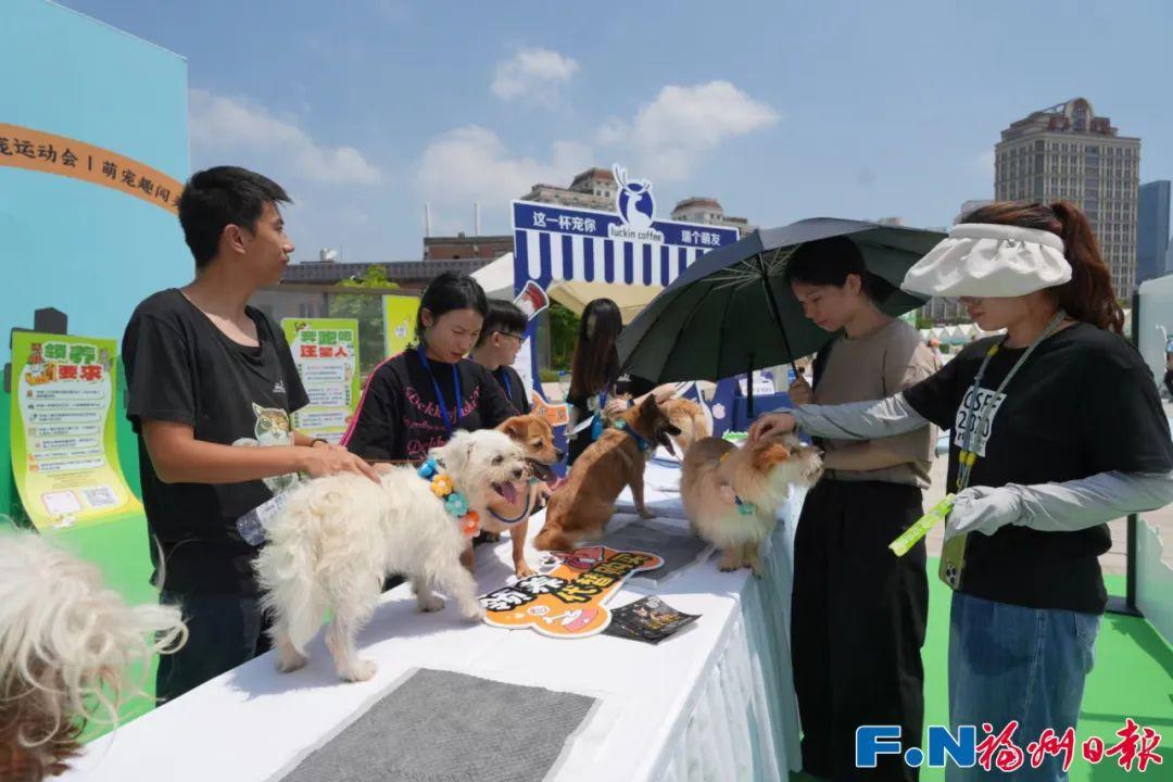 福州市第五届住房展销会盛大开幕！福州人周末快去逛