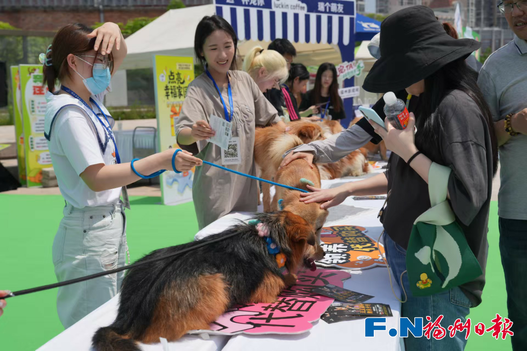 “毛孩子”亮相福州这里！还有很多福利……