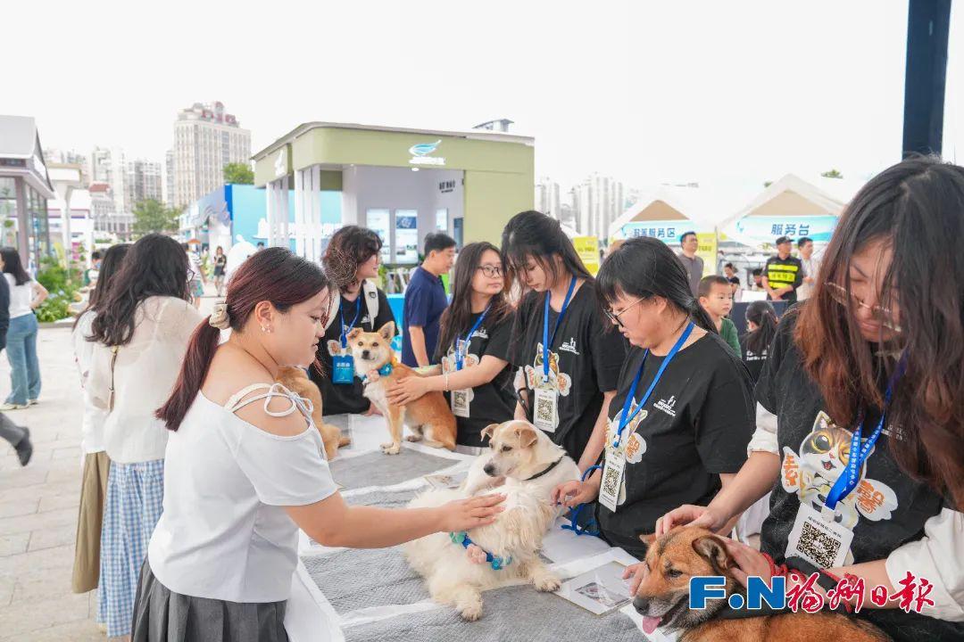 “毛孩子”亮相福州这里！还有很多福利……