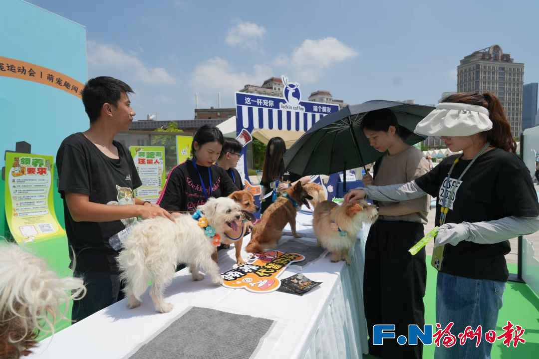 “毛孩子”亮相福州这里！还有很多福利……