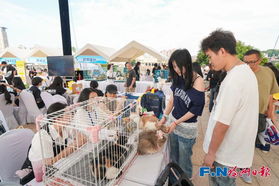 “毛孩子”亮相福州这里！还有很多福利……