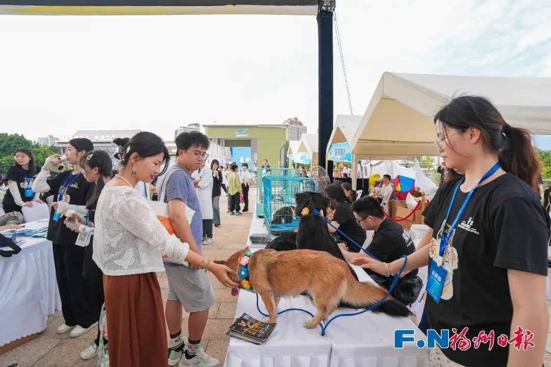 “毛孩子”亮相福州这里！还有很多福利……