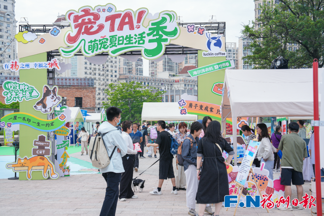 连续3天！福州这场盛会火了！人超多！