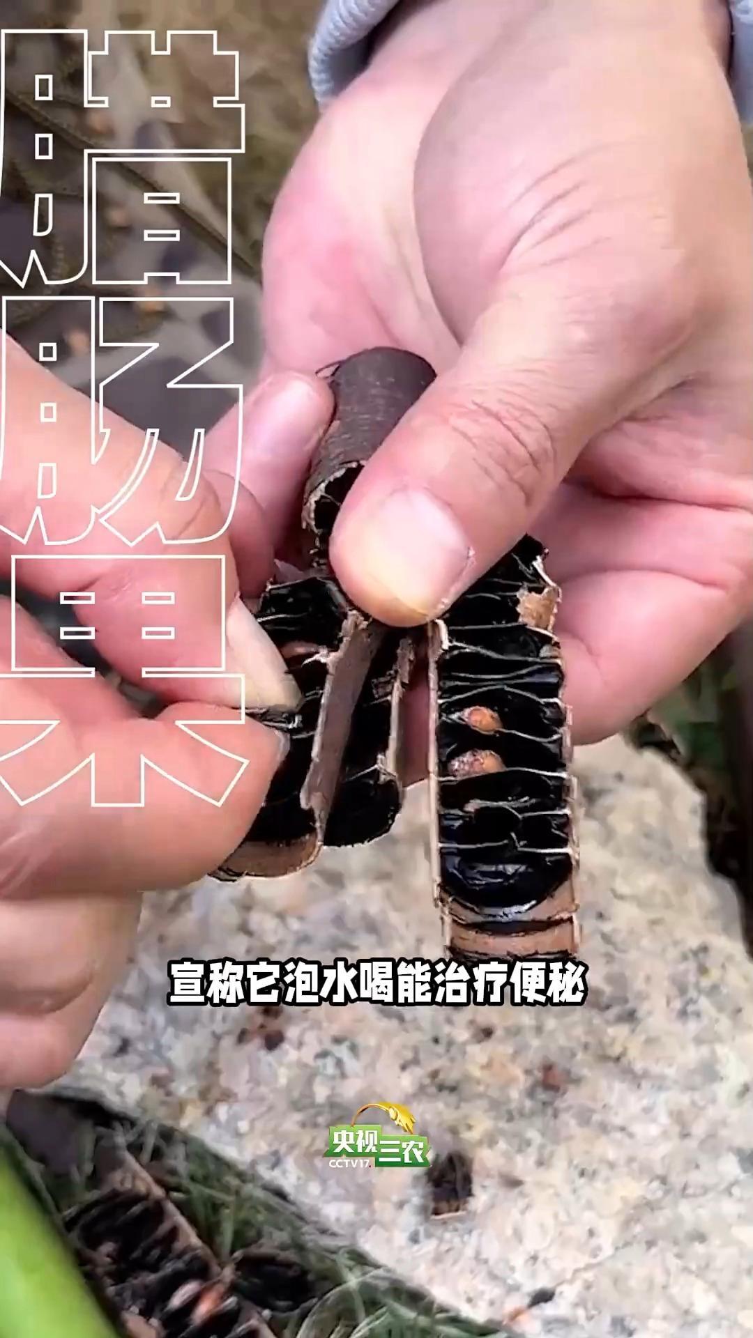 这几种“奇葩果” 买了就后悔