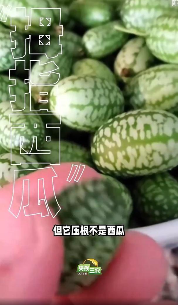 这几种“奇葩果” 买了就后悔