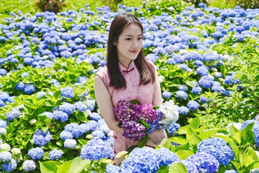 浪漫！福州版宫崎骏动画里的花海！